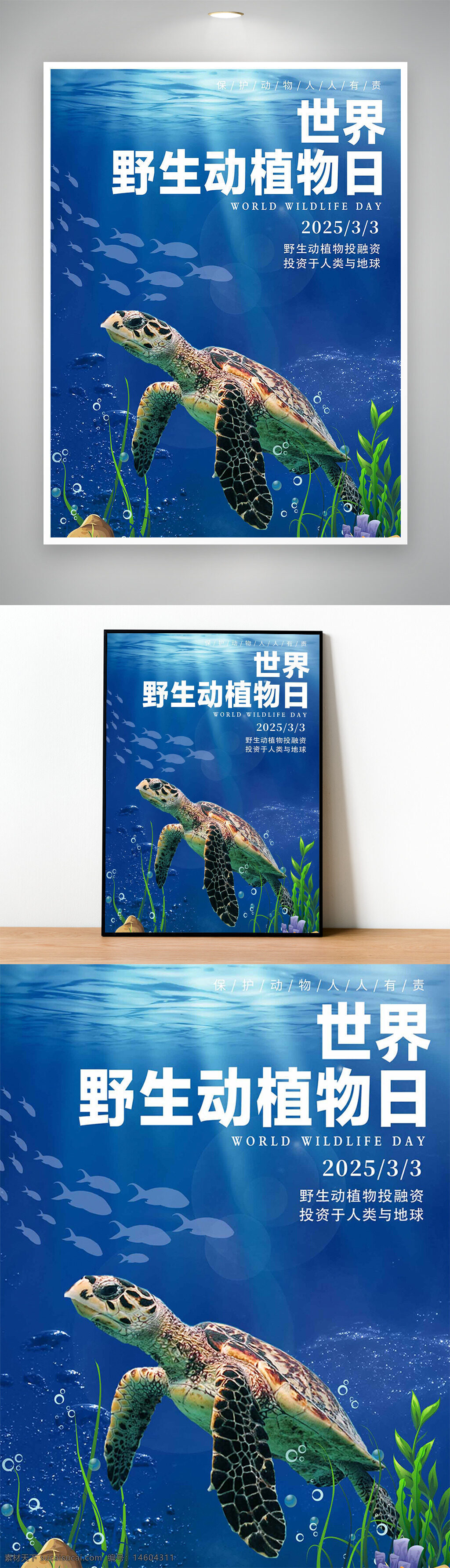 世界野生动植物日 海洋保护 海底生物 节日海报 蓝色背景 海龟图片 自然生态 野生动物?；?海洋生物 环保宣传 生态平衡 水下世界 海洋主题 公益活动 生物多样性