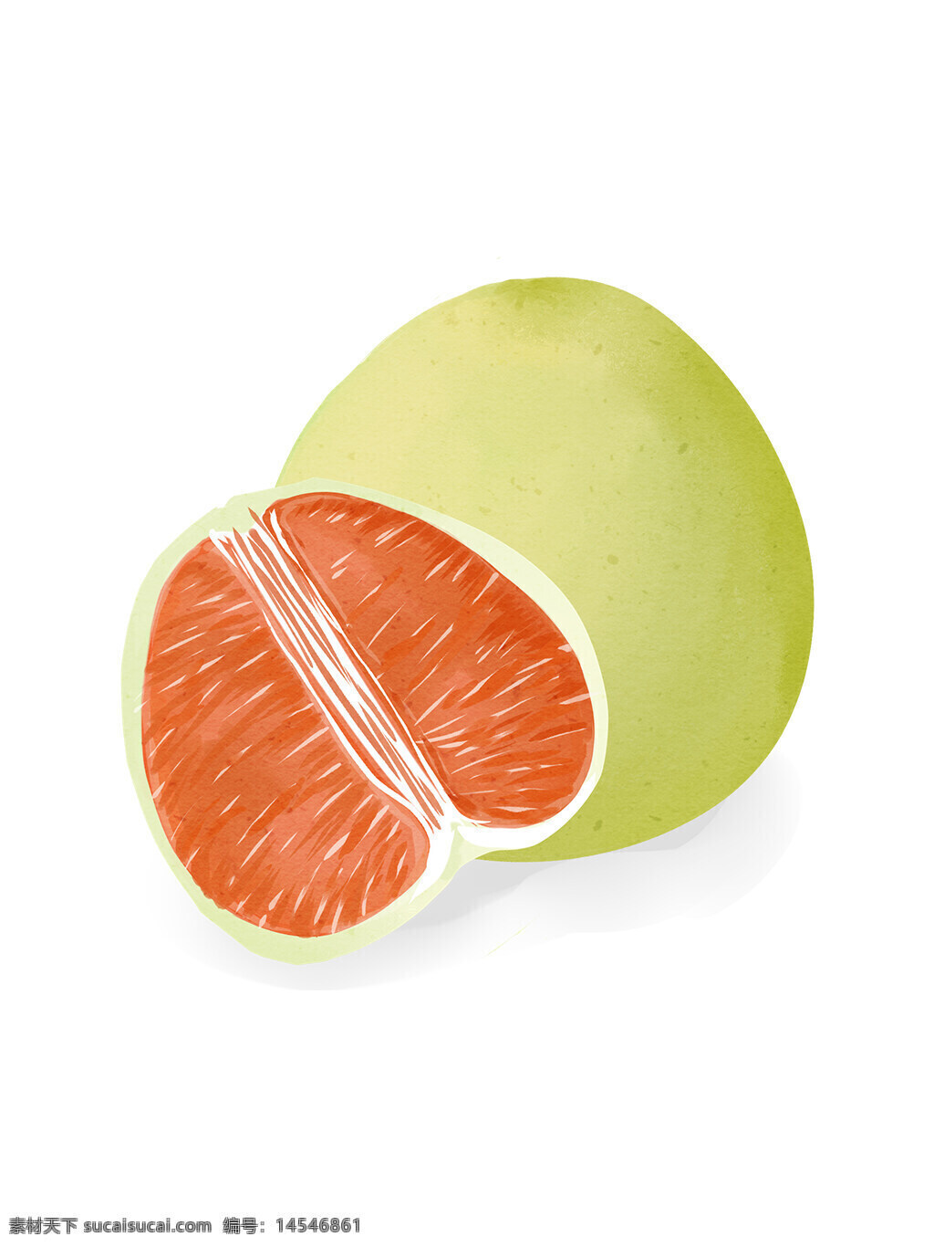 葡萄柚 柚子 水果 水果手绘