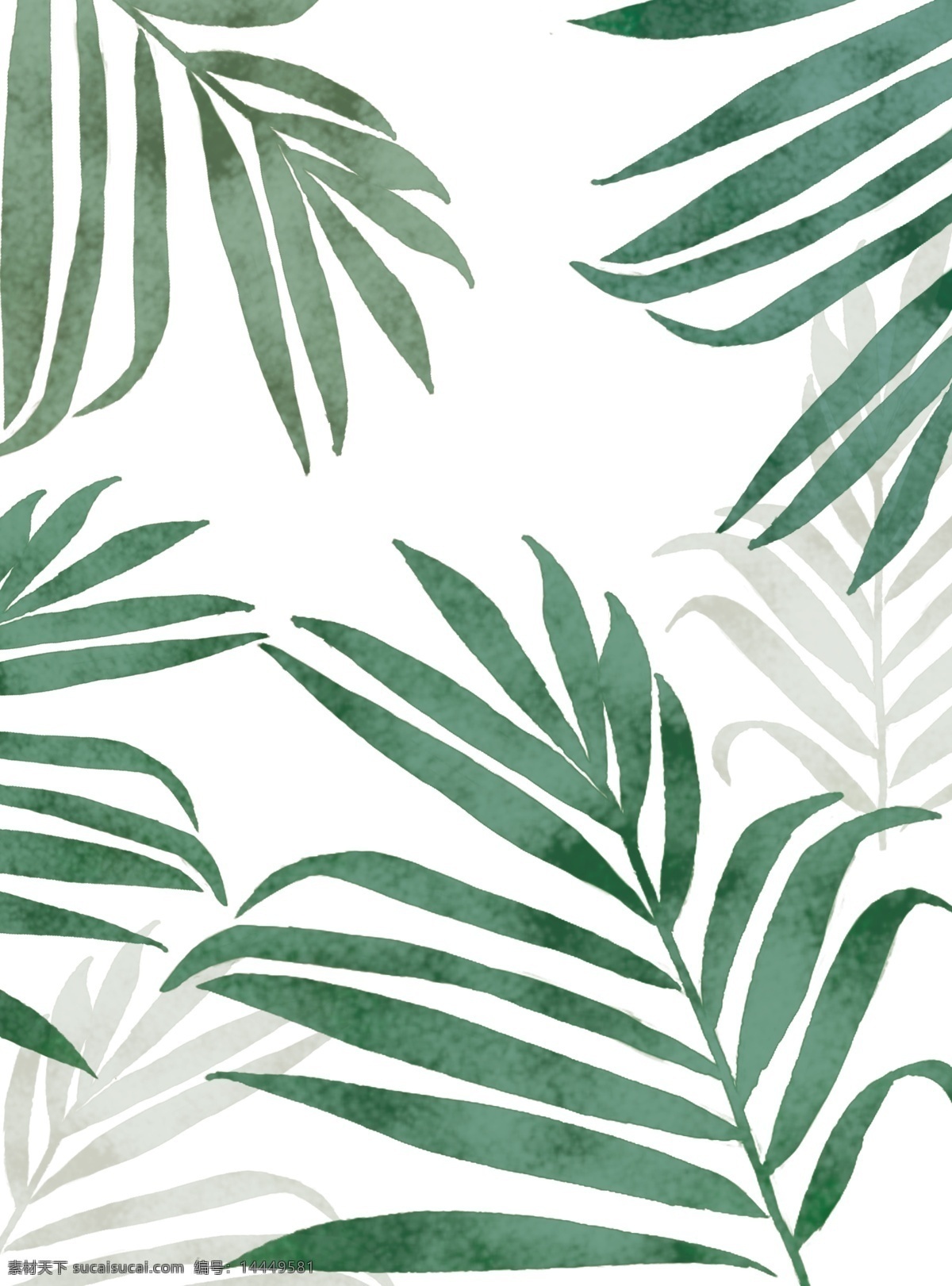 绿植 手绘 海报背景 大图 热带植物 手绘插画 分层