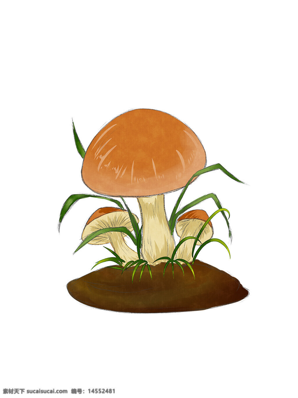 蘑菇 春天 手绘 蘑菇元素 水彩