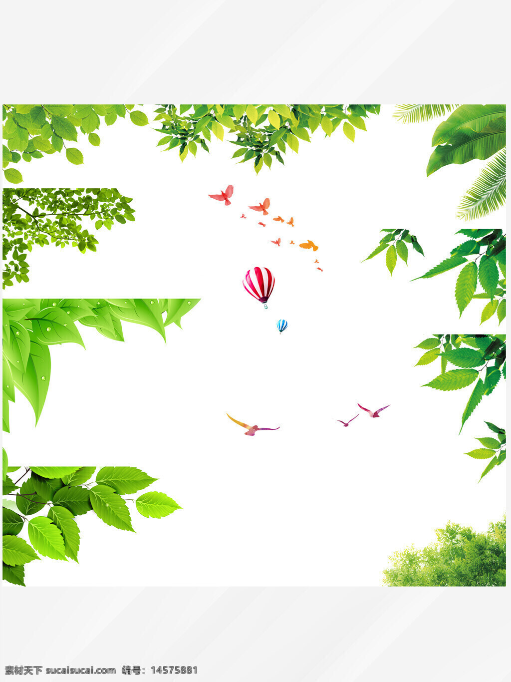 树叶 树叶素材 矢量树叶 一片树叶 叶子 绿叶 植物树叶 红色枫叶 秋韵 红叶 枫叶树 枫叶飘落 秋天树叶 植物 边框 飘落 树叶飘落 春花秋叶 金黄的秋叶