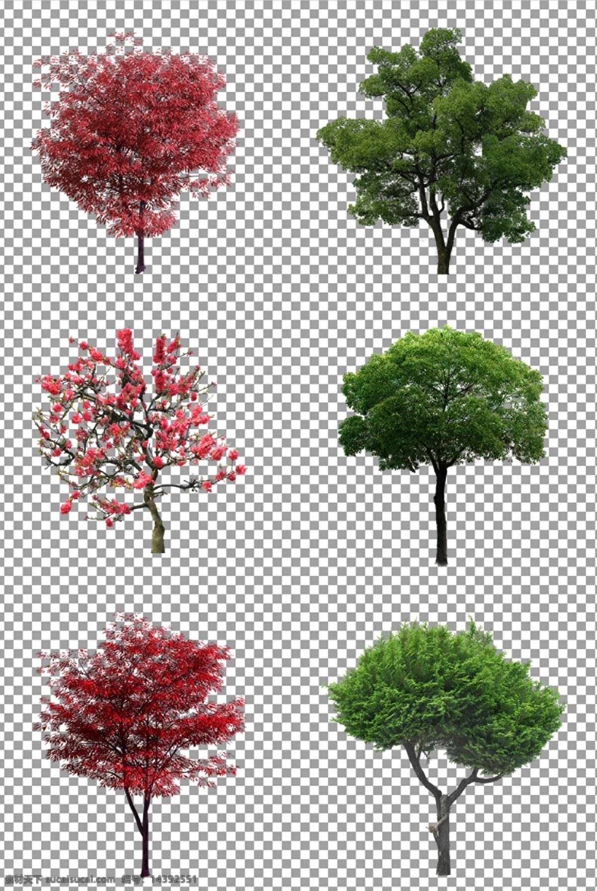 茂盛 大树 绿色 树木 红色树 植物 免抠 无背景 免抠图 抠图 元素 透明 通道 png免抠图 分层 花草人物