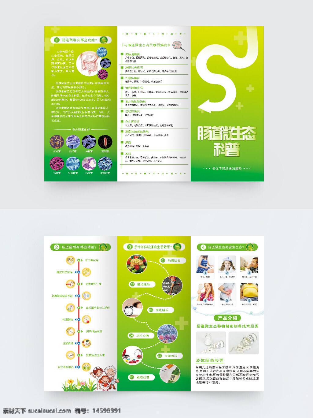 腸道 微生態(tài) 科普 健康 益生菌 免疫力 消化系統(tǒng) 腸道菌群 營(yíng)養(yǎng) 抗菌 代謝 維生素 乳酸菌 微生物 菌群平衡 健康飲食 抗氧化 生物制劑 益生元 纖維素 健康生活 骨密度 微生態(tài)健康 放線菌 腸桿菌 綠色 三折 醫(yī)學(xué)