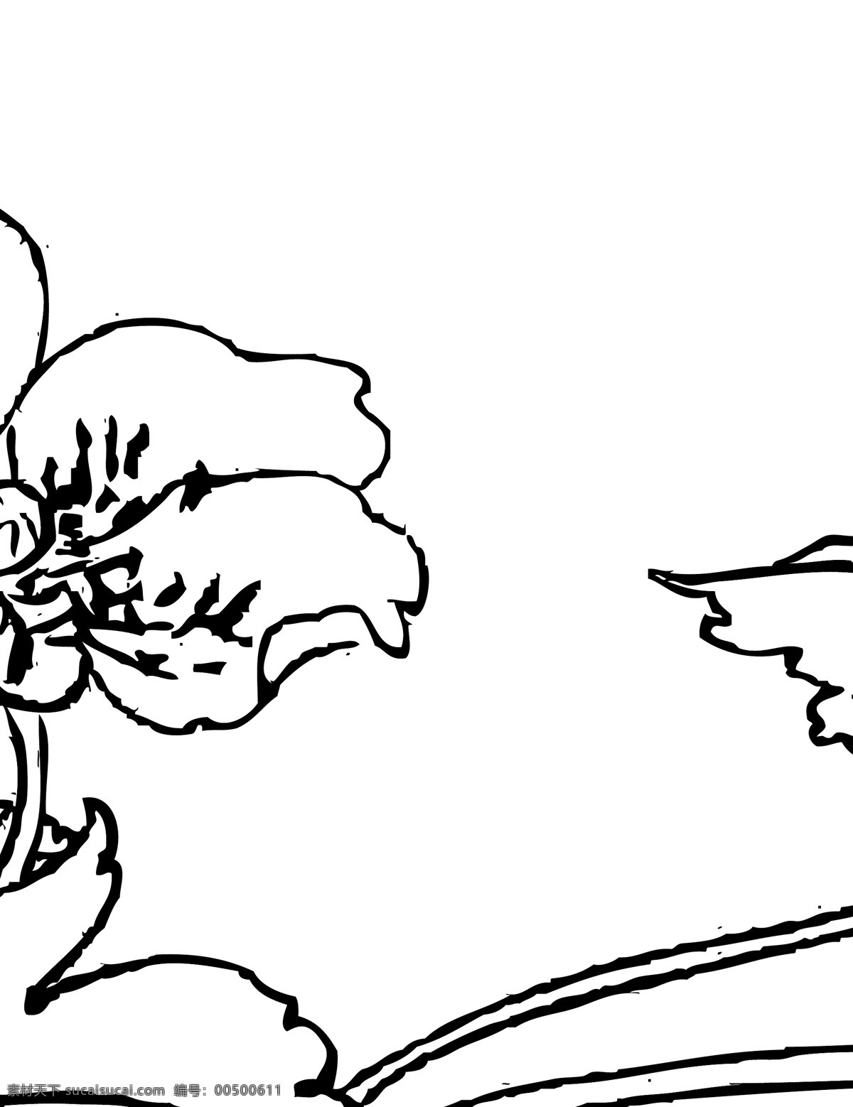 白描花卉 植物 花卉 白描 线描 花草 生物世界 矢量