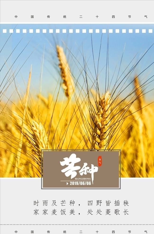 中国 二十四节气 节气 海报 芒种 麦穗