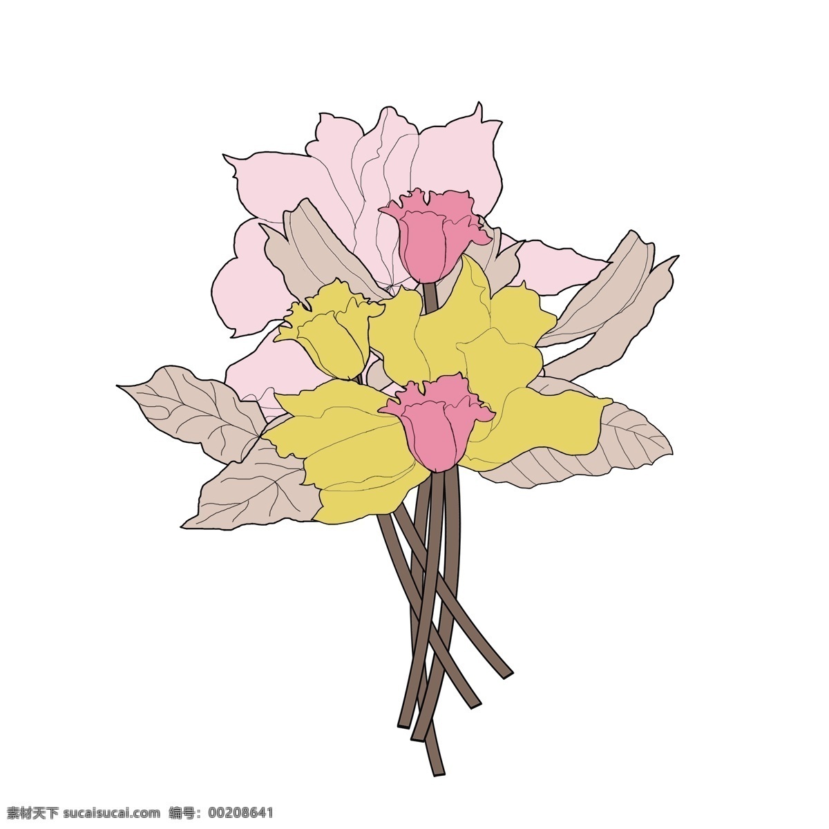 手绘 植物 花束 插画 商用 根部 花瓣 叶子 干花 花朵