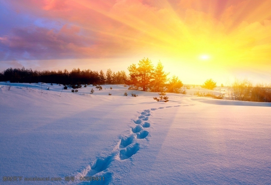 夕阳 冬天 黄昏 雪地 白雪 森林 晚霞 阳光 光线 美景 风景 日出 漂亮 寒冷 美丽自然 自然风景 自然景观