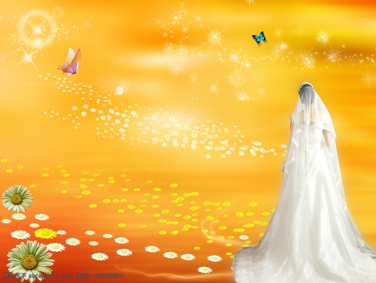 梦幻 婚纱 人物 美女 温馨 花纹 线条 菊花 花瓣 蝴蝶 星光 花朵 背景素材 暇意 梦境 源文件库