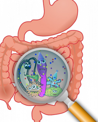 肠道 矢量 插画 党 肠 疾病 剪贴画 生殖 细菌 艺术 有趣 解剖 剪辑 腹泻 消化 胃肠道 矢量图 日常生活