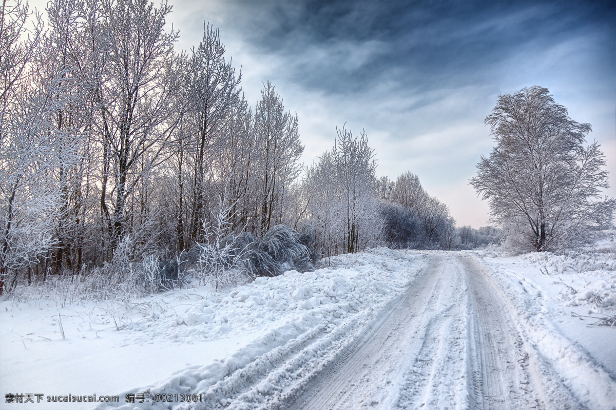 积雪 小路 树林 风景 冰天雪地 美丽雪景 冬天风景 树木 道路 雪地 雪景 美景 雪景图片 风景图片