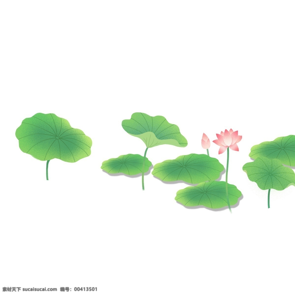 唯美 手绘 小 清新 荷花 荷叶 夏日 夏季 插画元素