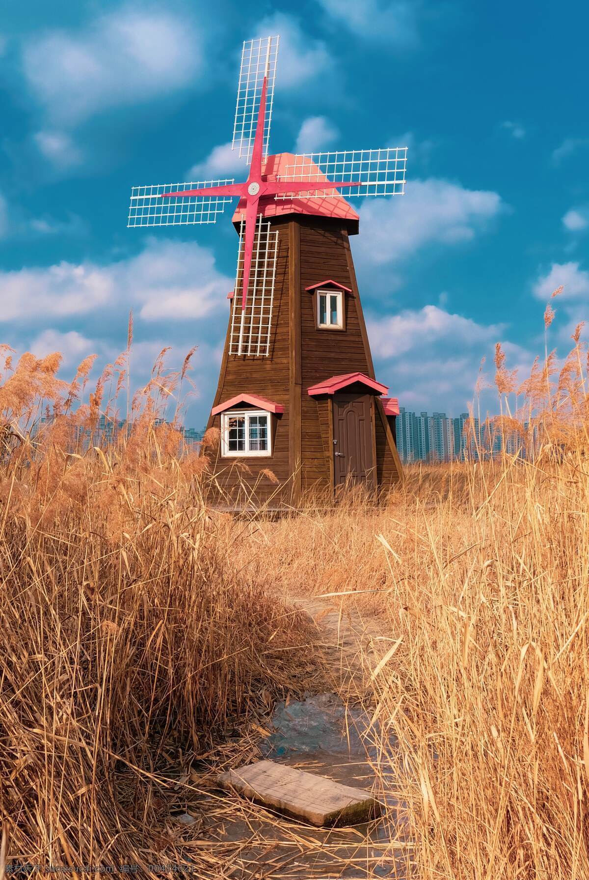 荷兰的小风车 风车 风光 房顶 旋转 转动 秋季 收获 自然景观 田园风光