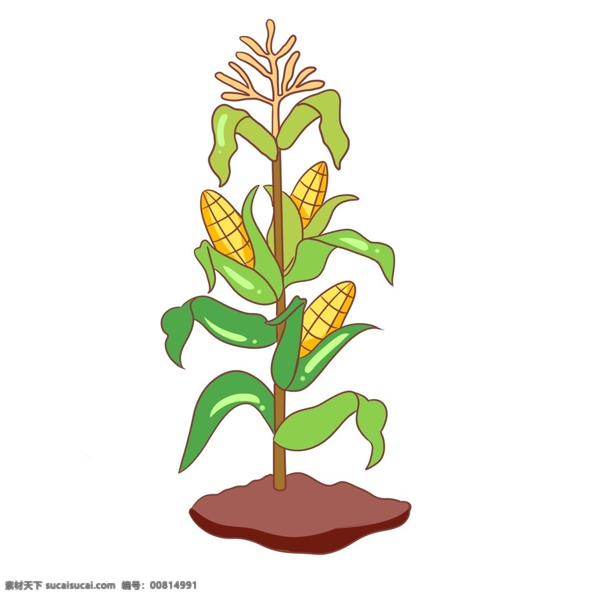 农作物 玉米 手绘 插画 农作物玉米 绿色的叶子 手绘玉米 卡通玉米 漂亮的玉米 红色的土壤 玉米装饰