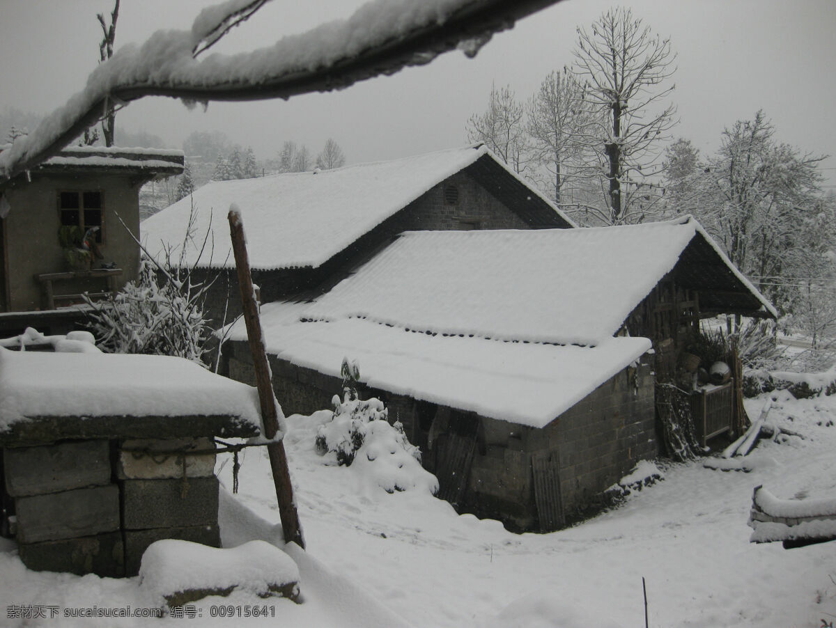 瓦房 白色 雪景 大雪 白茫茫 冬天的田野 冬雪 白色的屋顶 建筑景观 自然景观