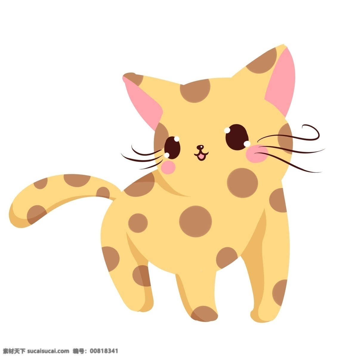 萌 坐 小 猫咪 黄色的小猫咪 萌萌的小猫咪 白色的毛 粉色的耳朵 可爱的小猫咪 小猫咪动物
