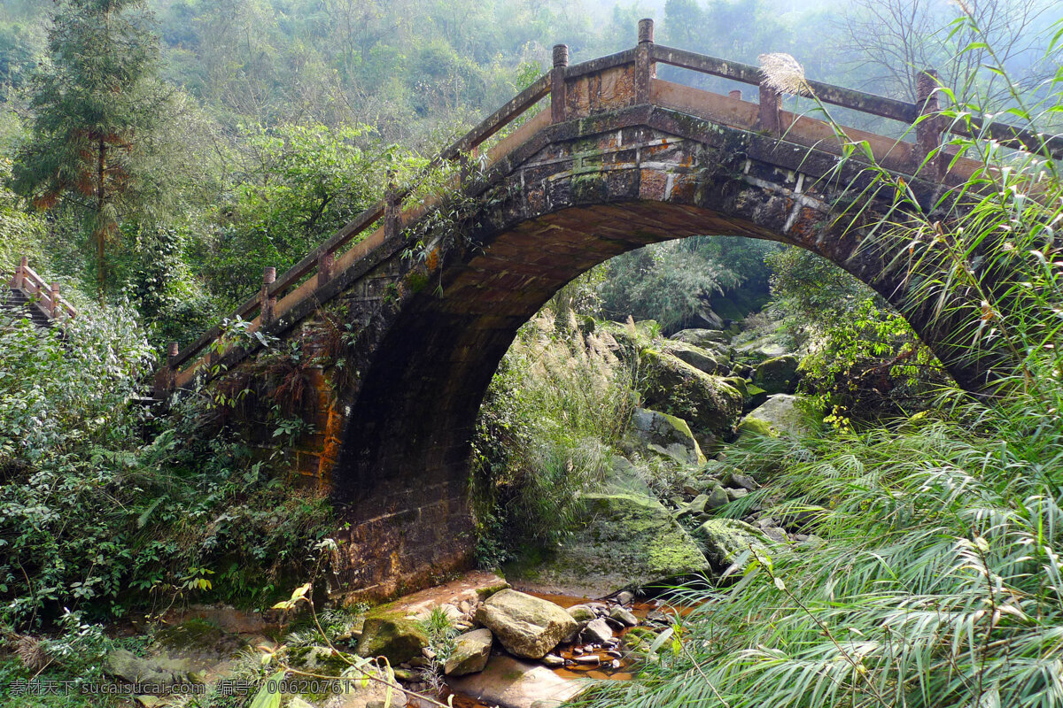 四川 碧峰峡 风景