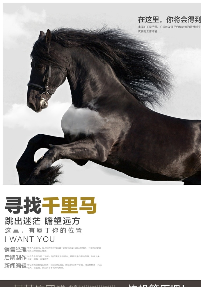 寻找千里马 校园招聘会 诚聘英才 招聘海报 招聘海报设计 招聘广告 招聘展架 招聘x展架 招聘易拉宝 招聘展板 招聘模板 招聘简章 招聘 宣传单 招聘会 高薪招聘 公司招聘 企业招聘 夜场招聘 招聘传单 商场招聘 人才招聘 招聘素材 酒吧招聘 招聘单页 校园招聘 招聘dm 招聘启示