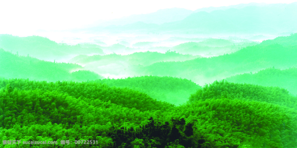 竹海 高清 摄影图库 自然风景 自然景观 矢量图 日常生活