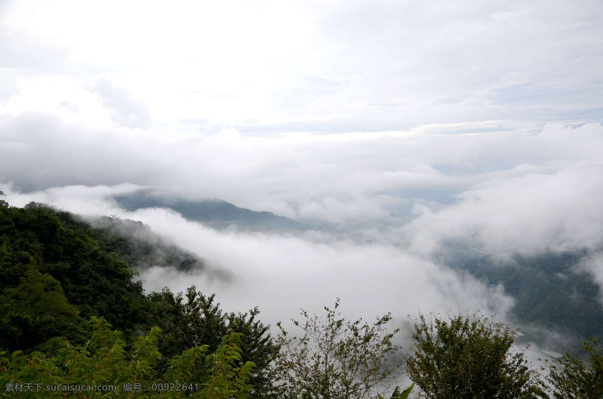 台湾 阿里山 玉山 风光 台湾旅游 台湾风光 南投 阿里山云海 台湾景点 国外旅游 旅游摄影