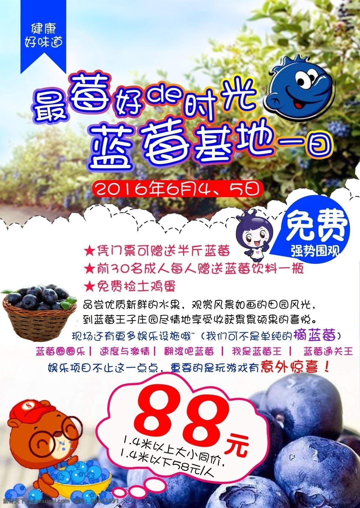 最 莓 好 时光 蓝莓 基地 一日 摘蓝莓 蓝莓品尝 白色