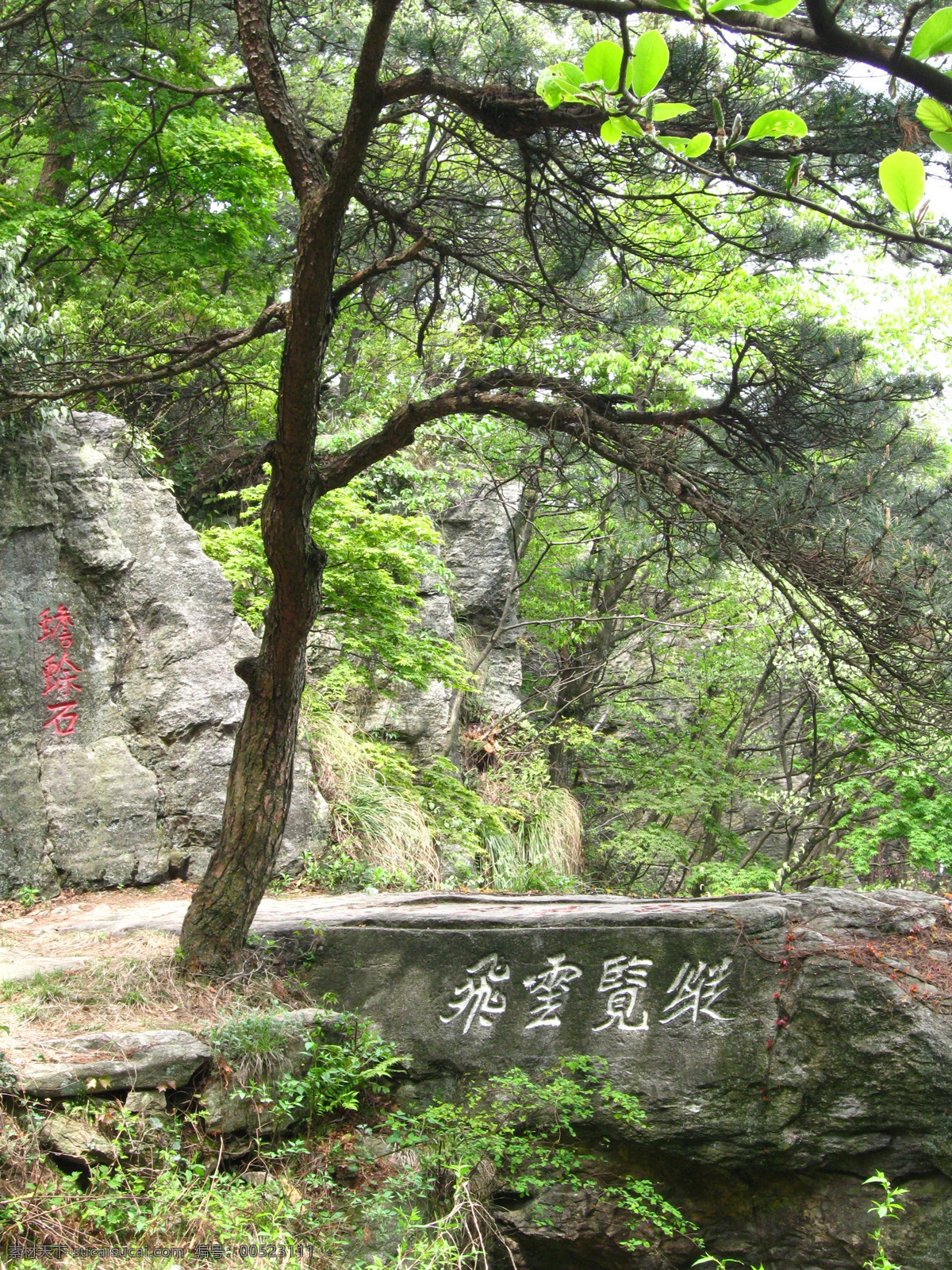 绿树免费下载 绿树 石桥 小路 庐山风景图 绿树背景图 风景 生活 旅游餐饮