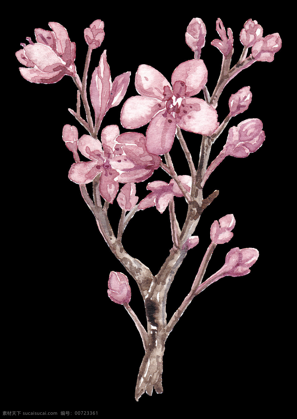 清新 风格 红褐色 树枝 樱花 装饰 元素 粉红色 粉色花瓣 粉色花朵 漂亮樱花 清新风格 装饰元素