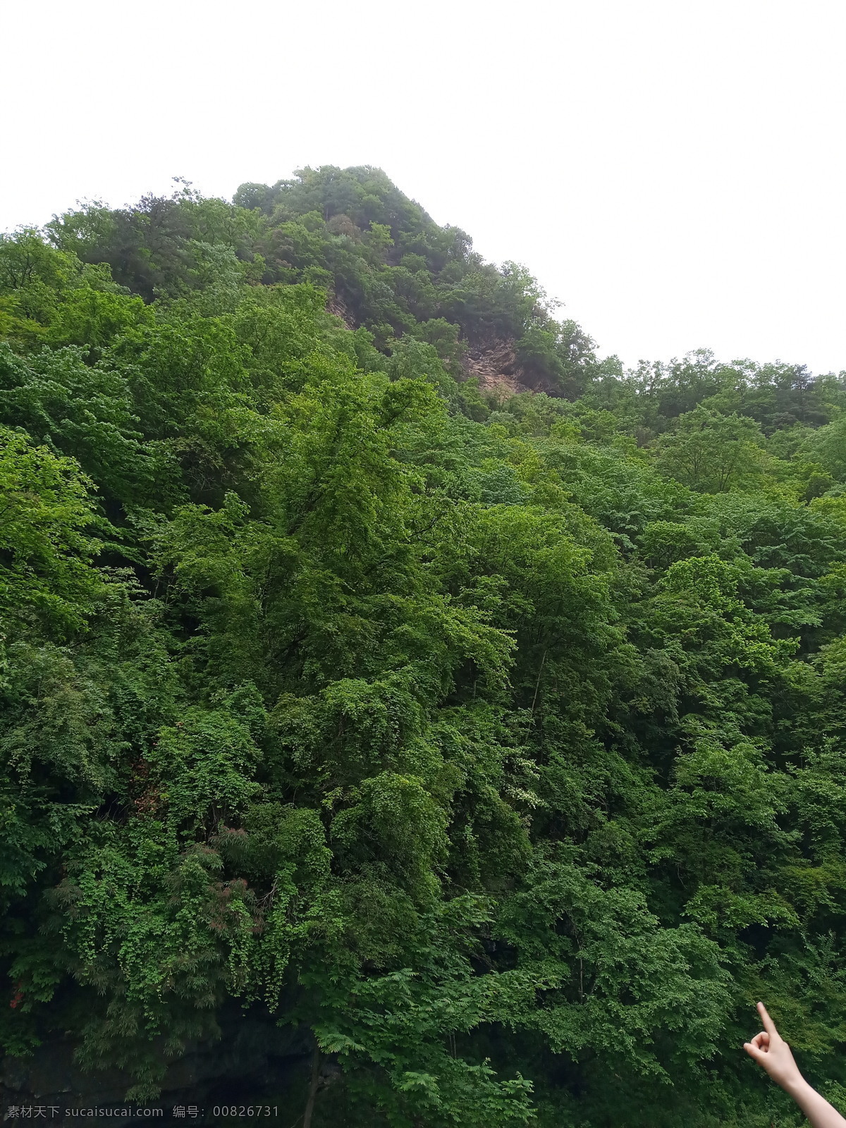 汉中 栈道 山 奇石 青山绿水 摄影作品 自然景观 山水风景