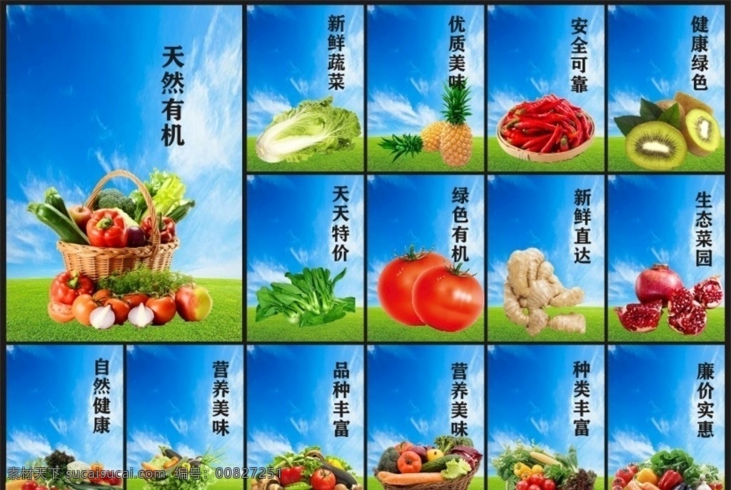 蔬菜展板 商场超市 背景墙 海报 宣传页