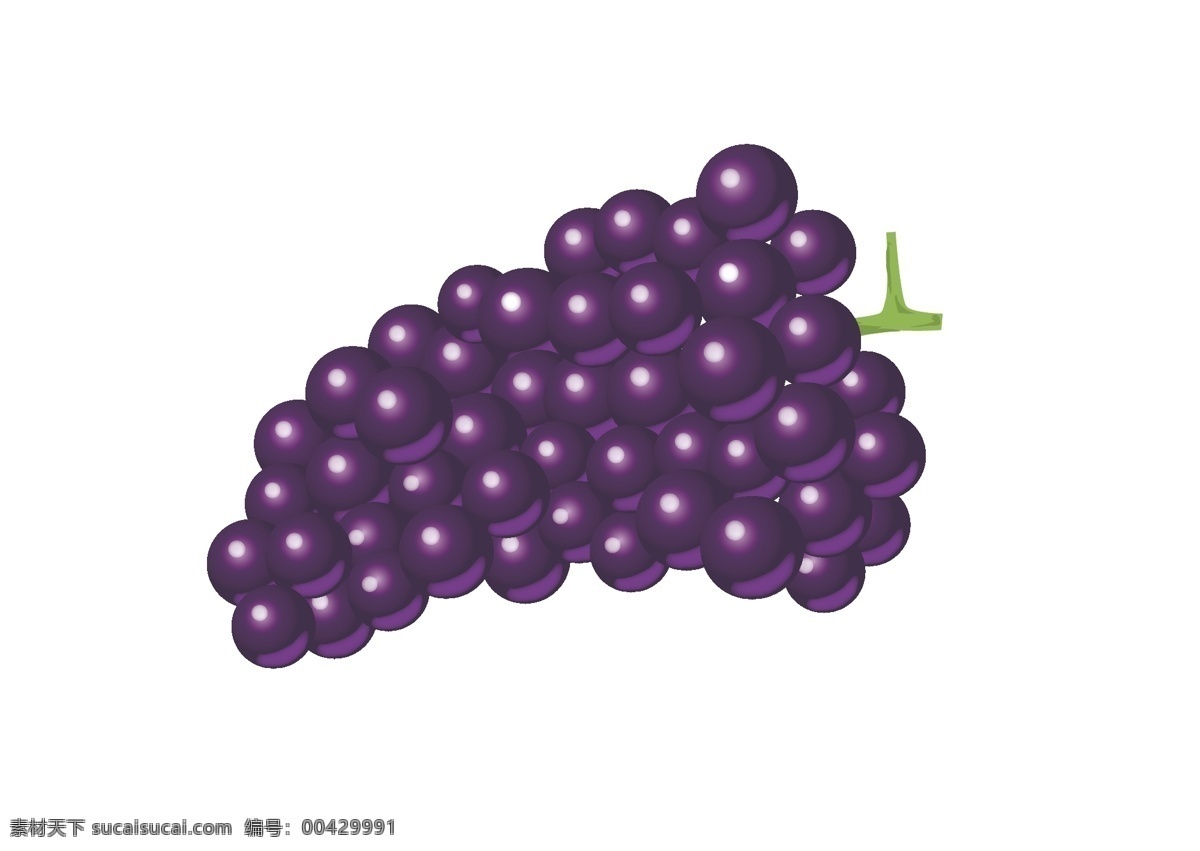 矢量葡萄 紫葡萄 葡萄提子 葡萄 水果 矢量水果