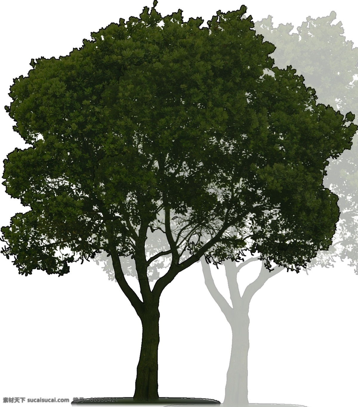 概念树素材 ps 概念树 景观 立面树 写实树 分层 源文件