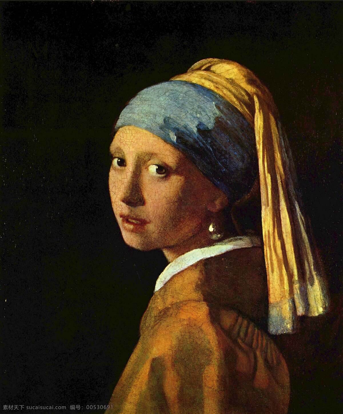 戴耳坠的女孩 杨183 维美尔 油画 世界名画 绘画书法 文化艺术