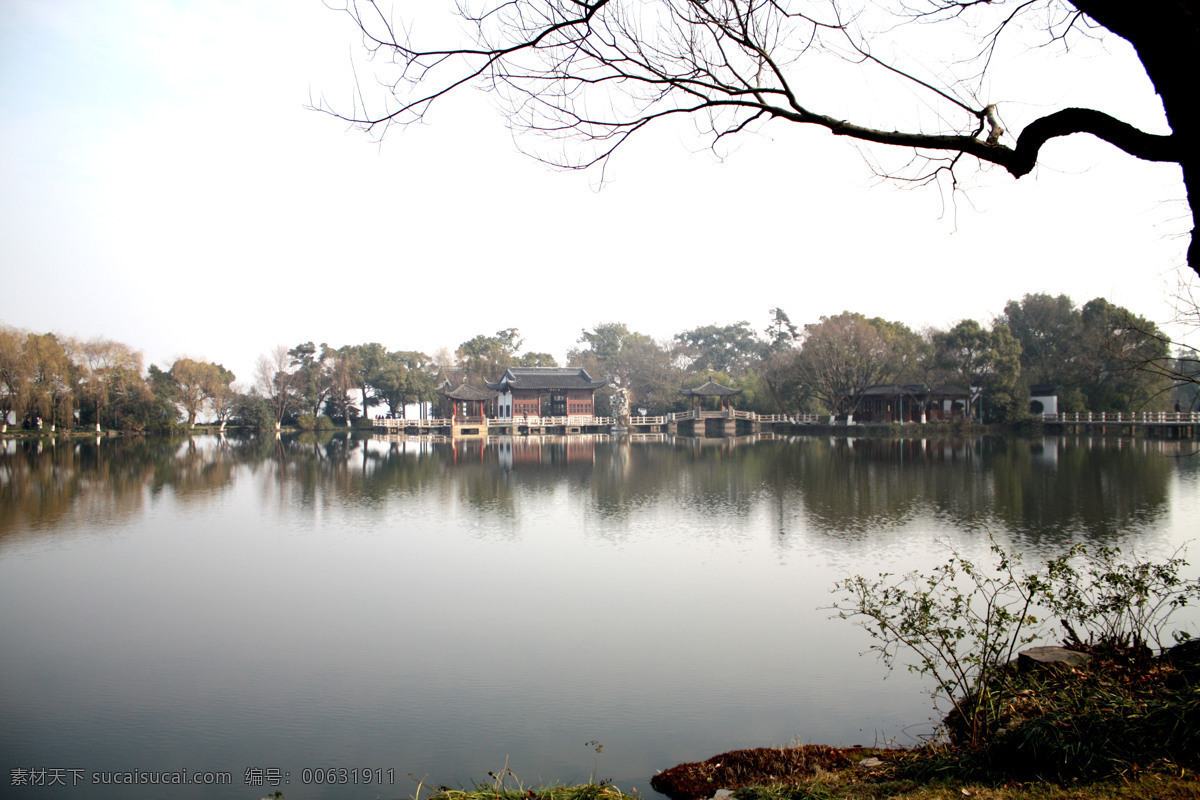 西湖美景 杭州 柳树枝 西湖 静静的湖面 自然风景 国内旅游 旅游摄影