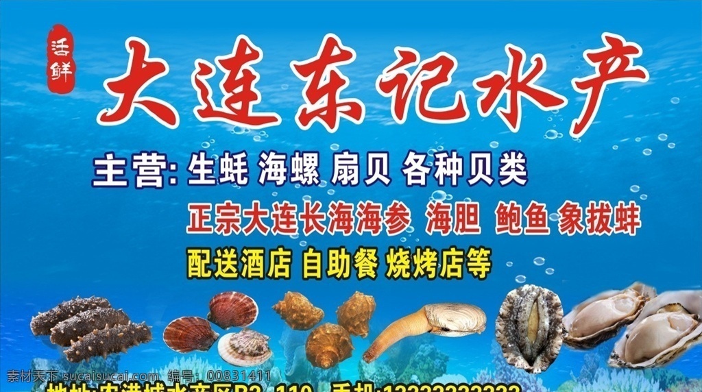东记水产 生蚝 海参 扇贝 象牙蚌 海洋 文化艺术