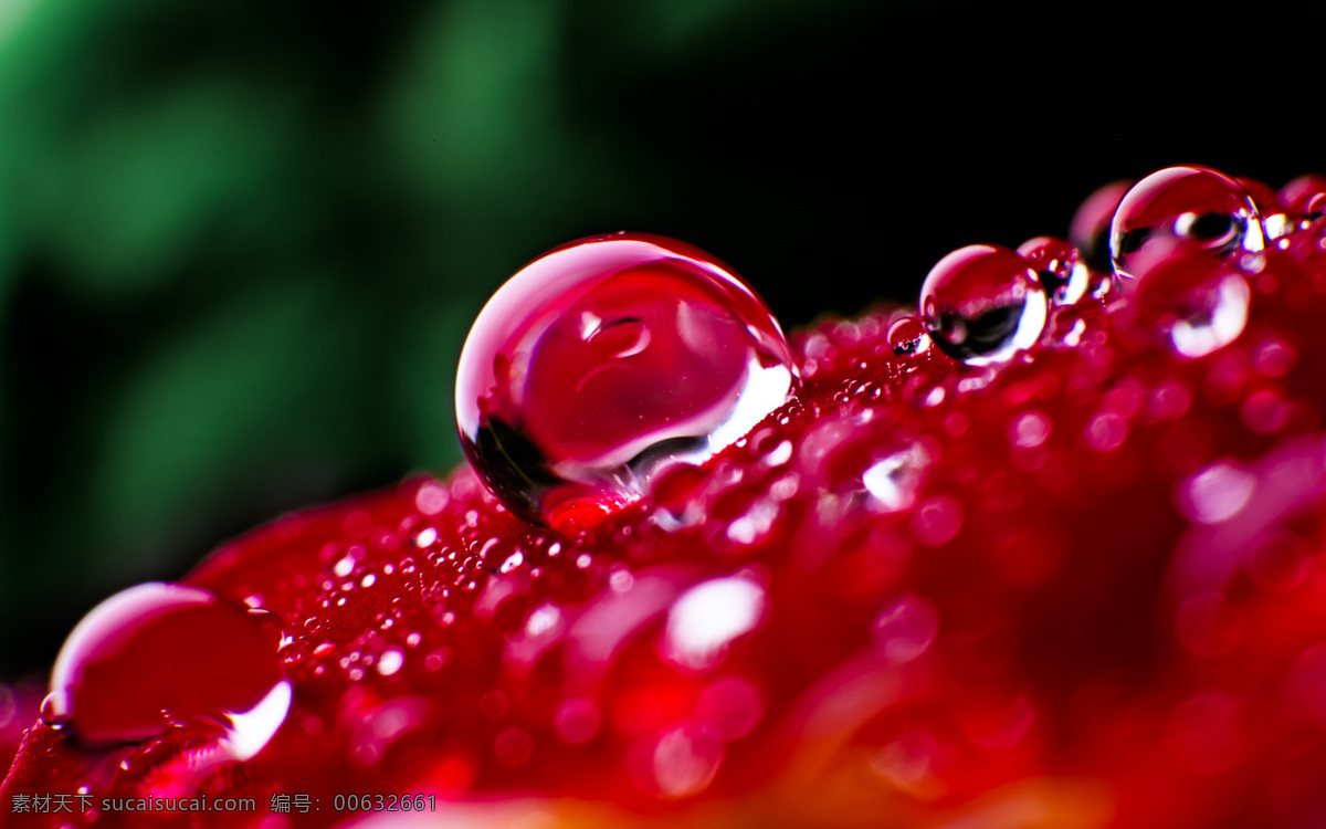 花草 花花草草 露水 露珠 生物世界 水滴 水滴水珠 水珠 水珠图片 漂亮的水珠 晨露 微距拍摄 水主题素材 生命之水 自然风景 自然景观 psd源文件