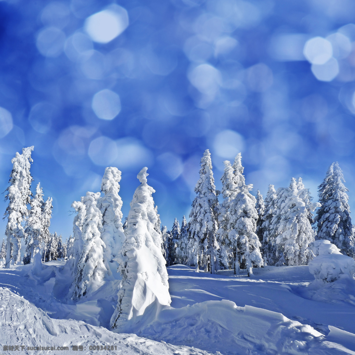 冬天 树木 梦幻 光斑 冬天雪景 雪地 美丽雪景 梦幻背景 自然风景 冬天风景 自然景观 蓝色