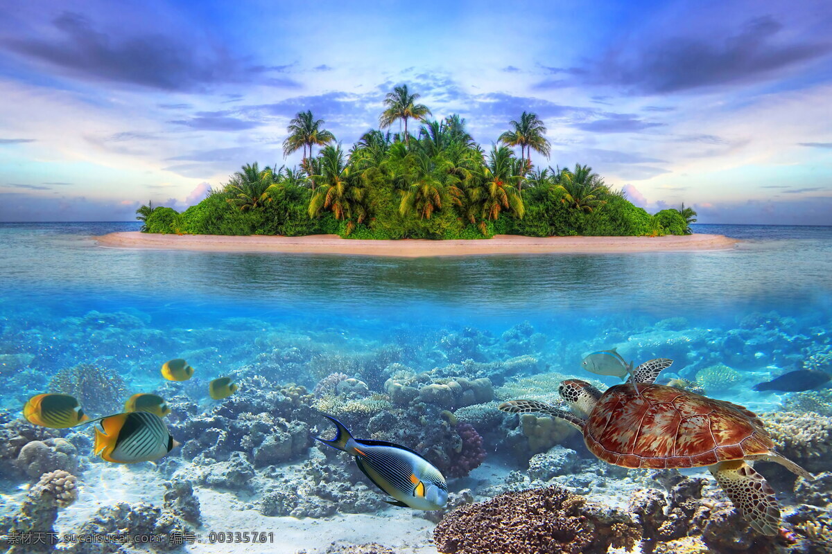 绿色 小岛 海底 景观 高清 海洋风景 大海景观 海上小岛 绿色岛屿 绿树 树木 蓝天 白云 天空 海水 海面 海岛景色 海底世界 礁石 海龟 海鱼 自然风光图片