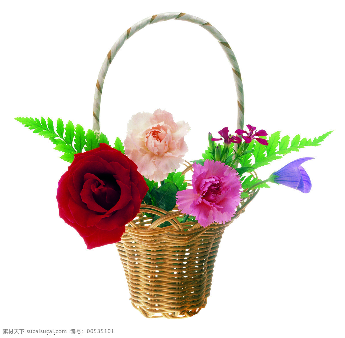 全球 首席 大百科 花竹 小饰品 花卉 花蓝 一束花 鲜花 礼品花 花饰小品