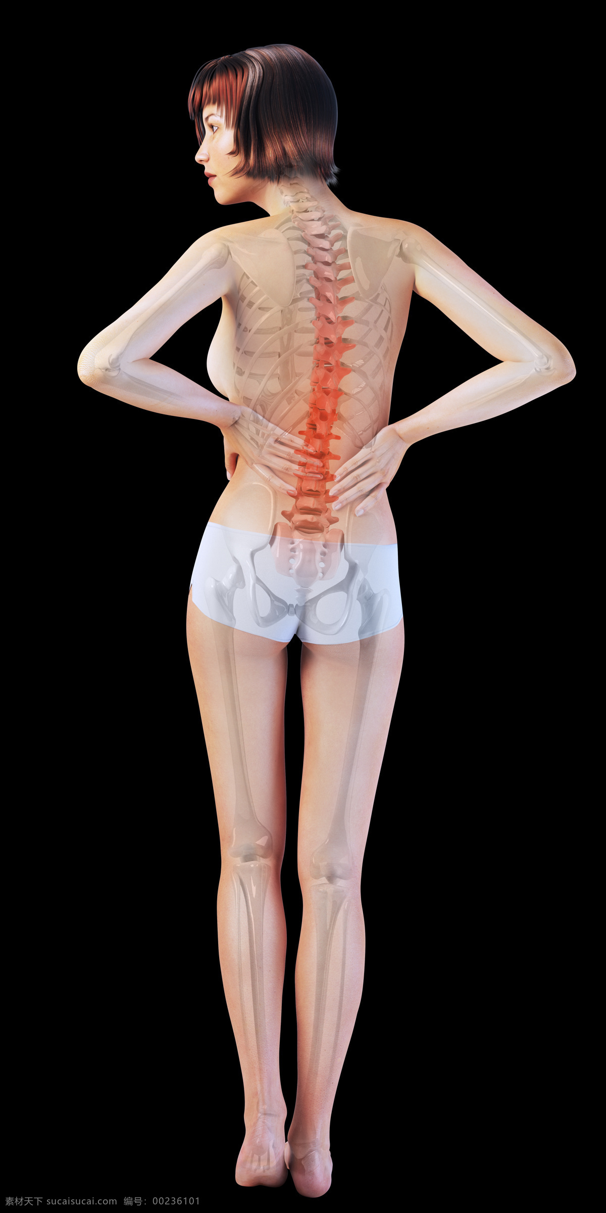 女性 脊椎 x 光 图像 医疗主题 人体 透视图 x光 医疗护理 现代科技