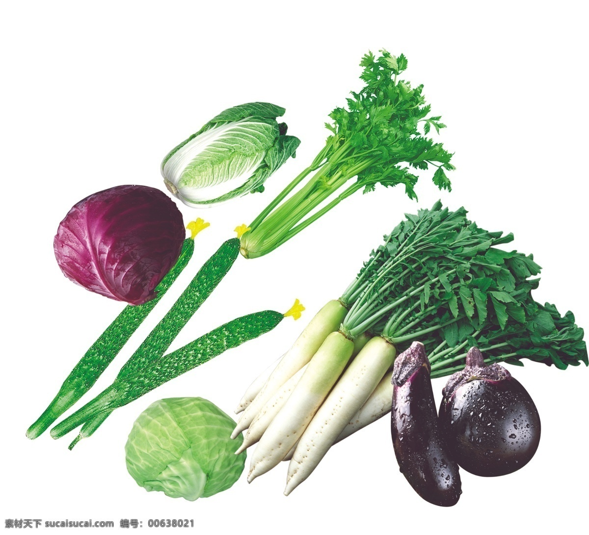 蔬菜分层素材 蔬菜 包菜 茄子 白菜 萝卜 分层