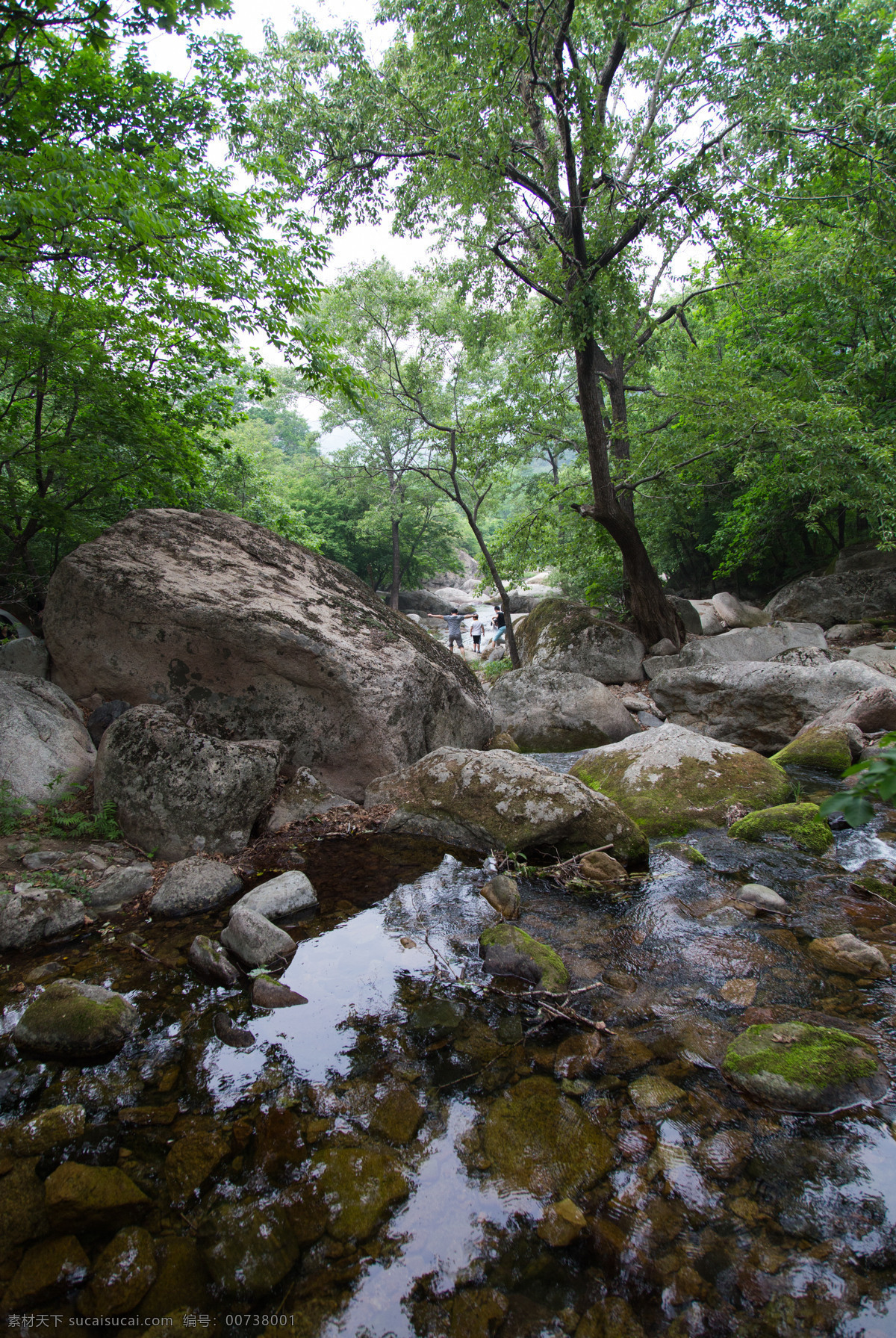 石头 山石 鹅卵石 旅游山水 风景摄影 小溪摄影 山石风景 溪水 溪水摄影 溪水风景 风景 山水 小溪 河水 本溪 老边沟 老边沟风景 树林 山林 树叶 叶子 山水画 山水图 风景图 山水素材 风景素材 自然景观 山水风景