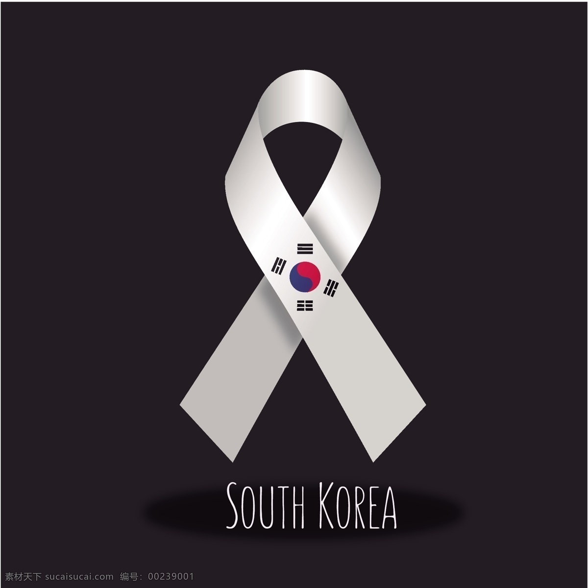 韩国 国旗 丝带 丝带设计