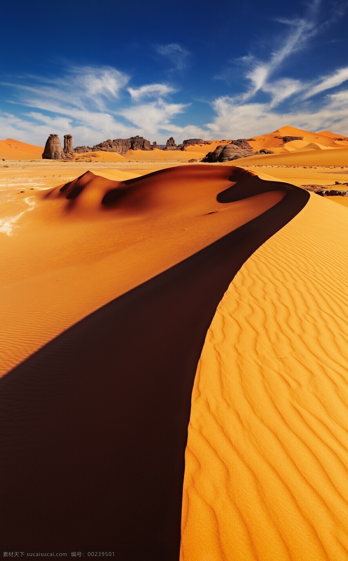 沙漠戈壁图片 沙漠 沙丘 沙子 砂 绿植 植物 草 戈壁滩 细沙 纹理 纹路 高低 雾霾 橙色 黄色 干燥 自然景观 自然风景