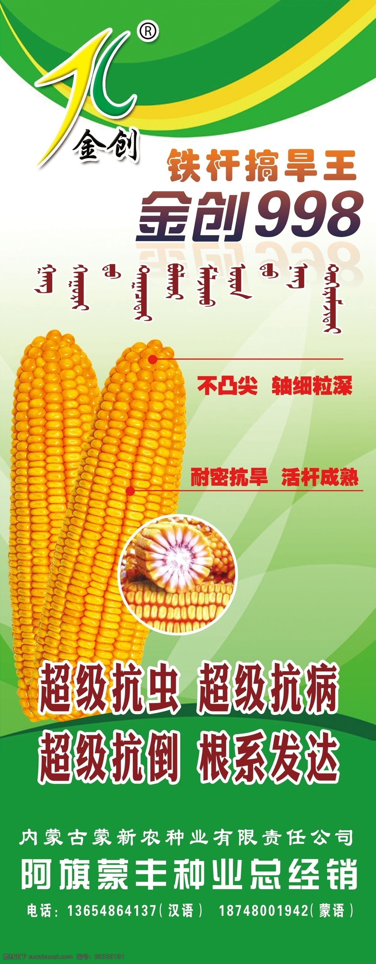 金创998 金创 展架 玉米 苞米 分层