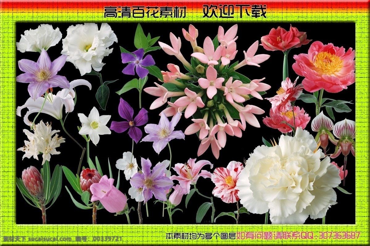 分层 百合 百合花 草 高清花 花 花草 花店名片 百花 篇 模板下载 百花篇 百花图 菊花 鲜花素材 漂亮 鲜花 树叶 玫瑰花 牵牛花 向日葵 鲜花名片 花纹名片 花名片 美容名片 花店名片设计 花纹 花纹背景 鲜花背景 鲜花图片 鲜花底纹 绚彩 绚彩名片 花店名片模板 温馨背景 源文件 psd源文件