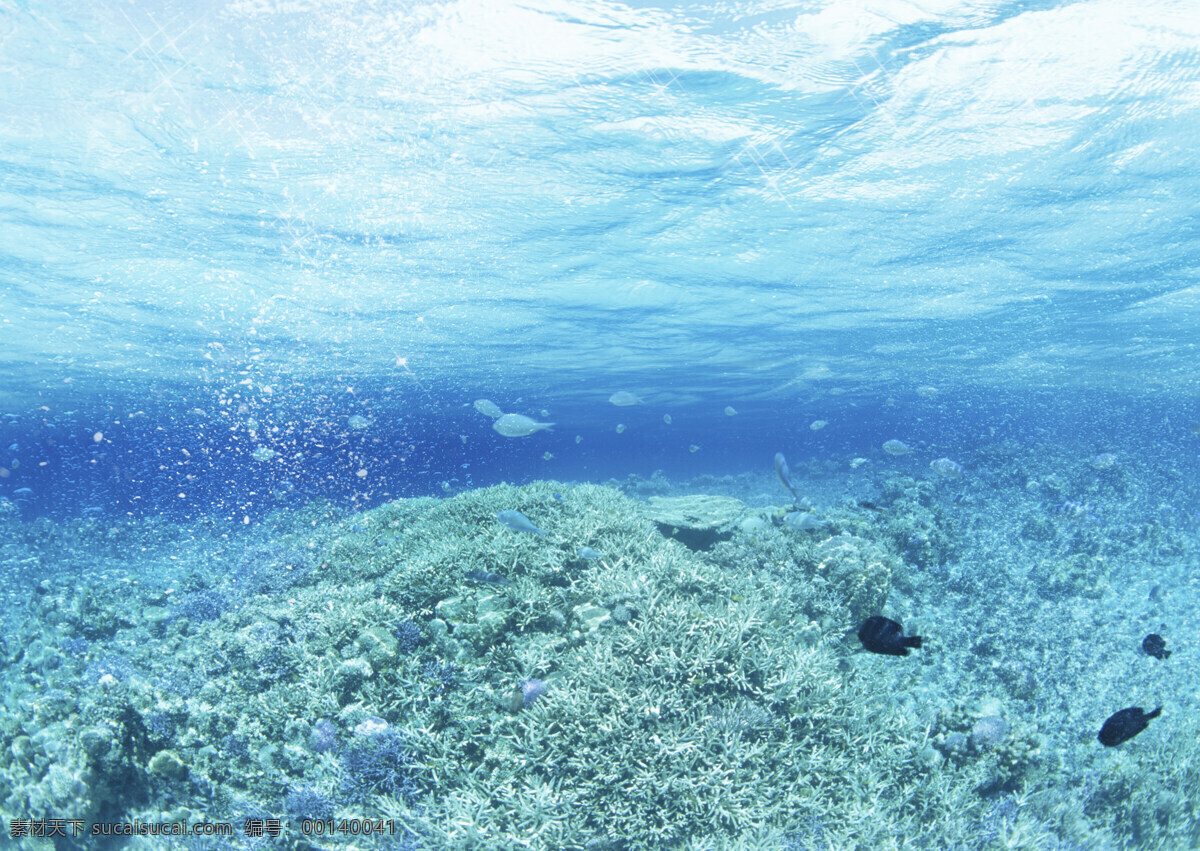 海洋 海藻 珊瑚 设计图库 水滴 洋 鱼 自然风光 水滴设计素材 水滴模板下载 自然景观