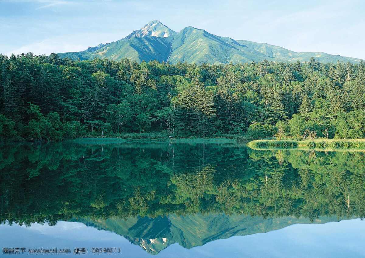 树免费下载 风景 山 山水风景 摄影图 树 植物 自然景观 水 家居装饰素材 山水风景画