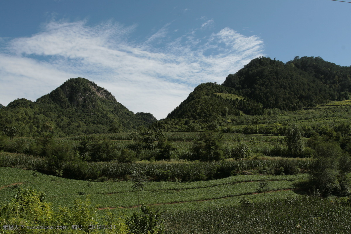 山免费下载 大山 绿色 山 树木 素描 背景图片