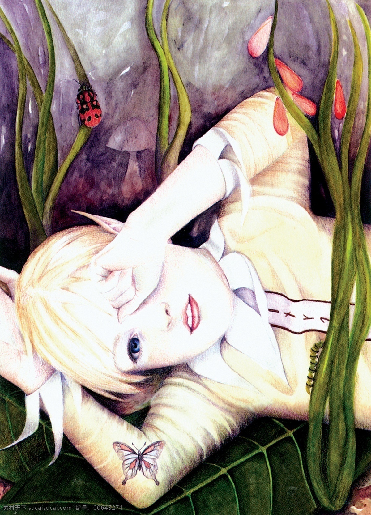 插画 插图 动漫 花 绘画书法 精灵 昆虫 欧洲 花丛里的天使 仙女 天使 叶子 神话 童话 文化艺术 插画集
