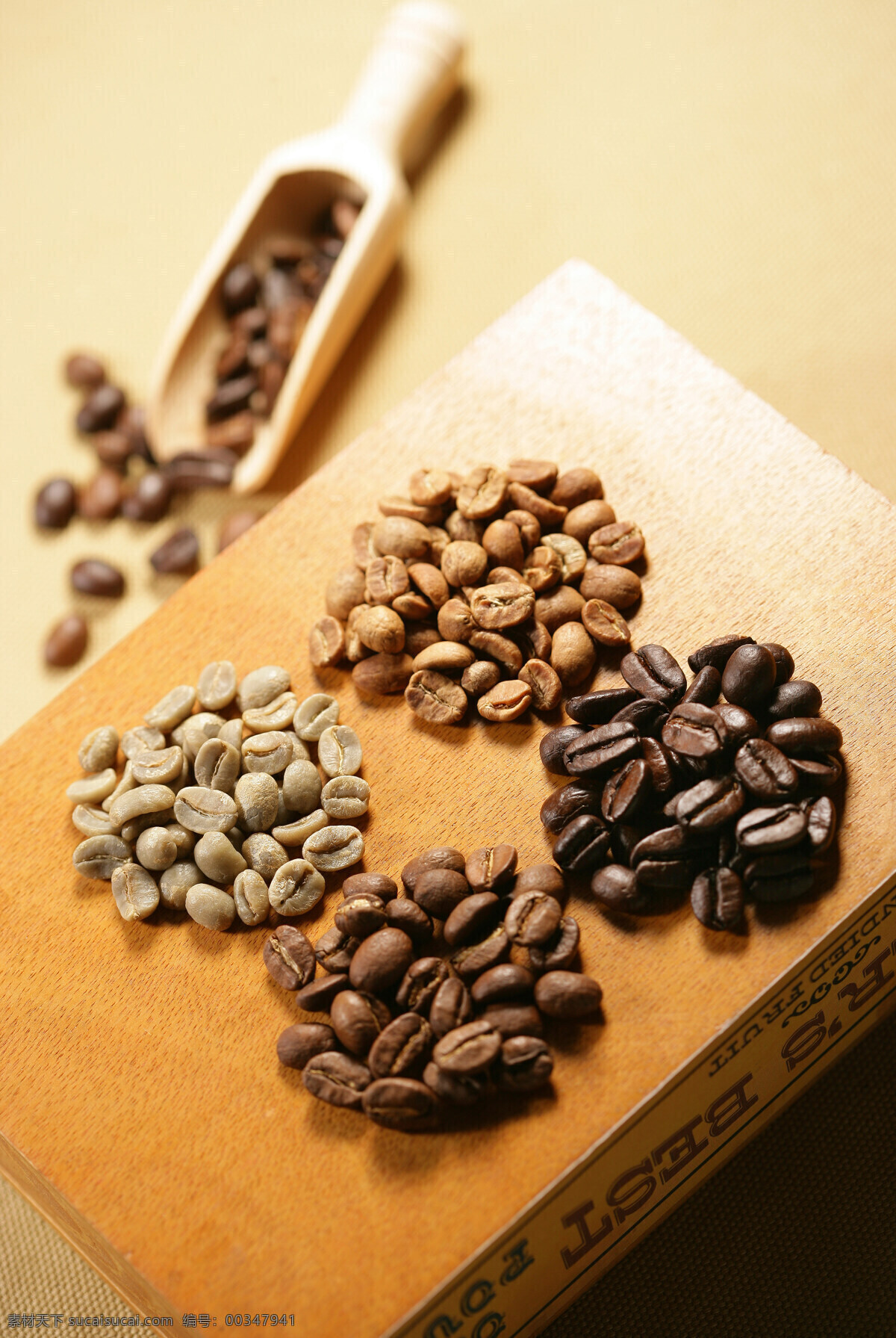 四 种 咖啡豆 香醇 种类 咖啡文化 国外 享受 美味 打磨 浓郁 味道 静物 高清图片 咖啡图片 餐饮美食