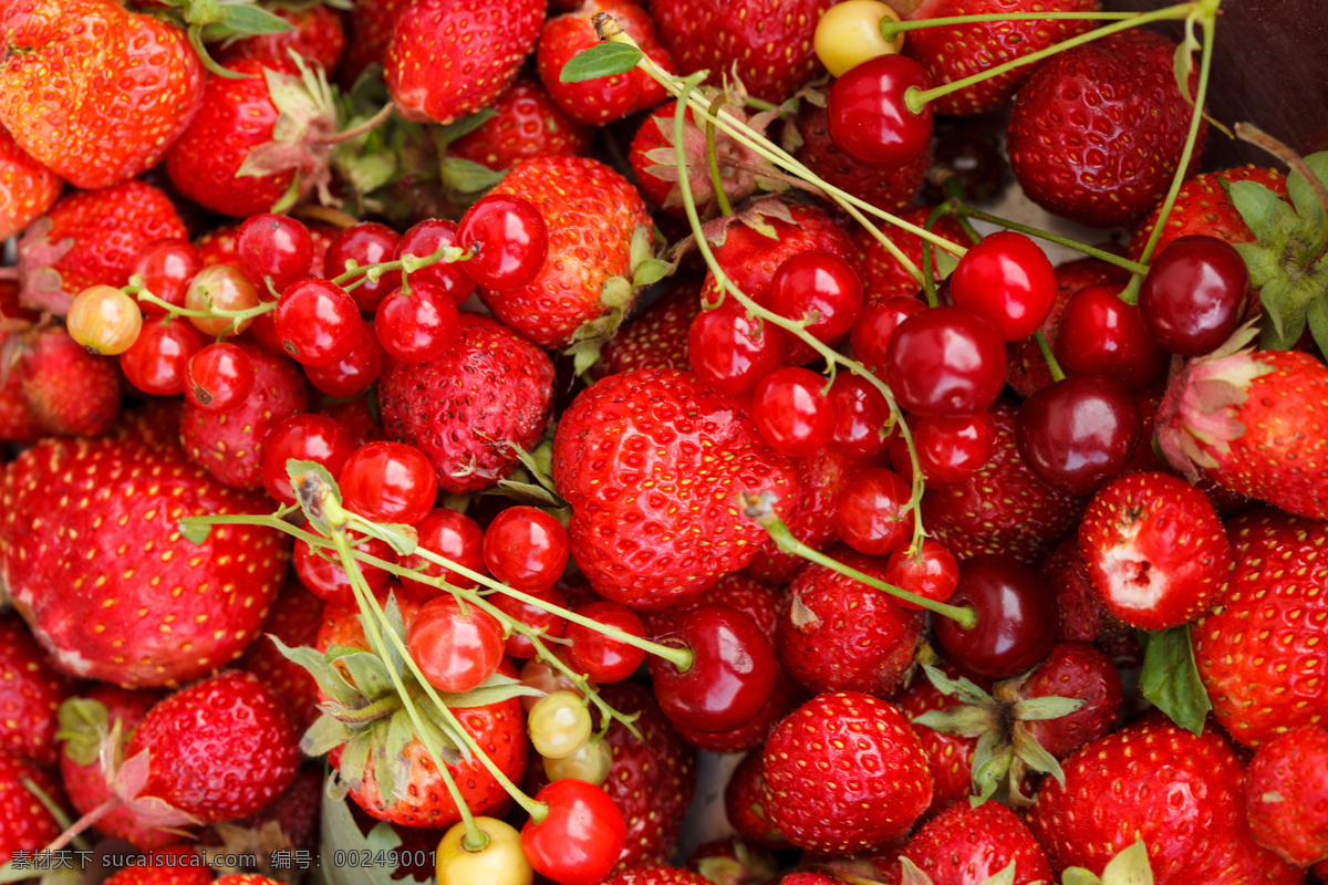 草莓与沙棘果 草莓 沙棘果 水果 沙棘 新鲜 水果蔬菜 餐饮美食 红色